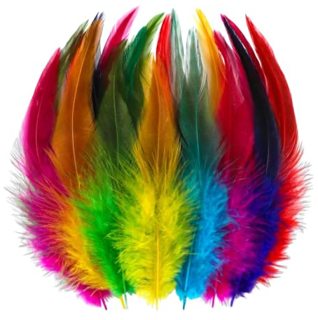 200 Pcs Colorful Craft Rooster Feathers, 5-7 Inch Craft Feathers and Feathers for Crafting Soft Natural Plumes for DIY Art Projects Hats Costumes, Party Décor (Mixed Colours)