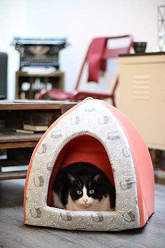 Gillar Tipi kattskum som sover Mistigri komfort mjukt färgglatt tryck korall avtagbar kudde storlek S