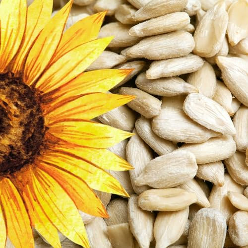 Sonnenblumenkerne: Hochwertiges Vogelfutter für Wildvögel - 10kg Geschält & Schalenfrei - Ideales Ganzjahresfutter für Gartenbrunch - Natürliche Anziehung für Wildvögel und Tiere