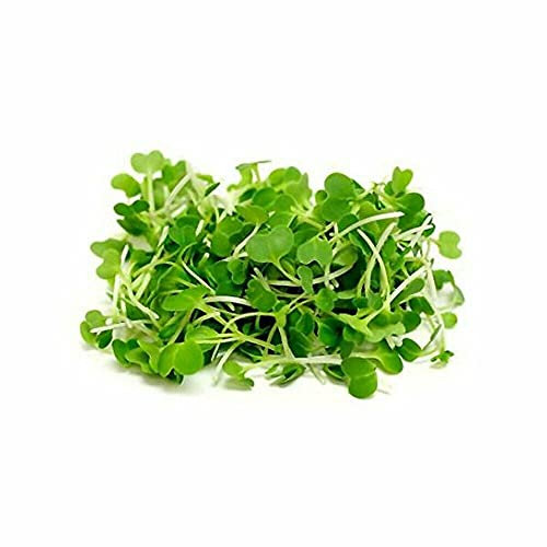 Legumi - Microgreens - Pak Choi - F1 Hanakan - 100 grani - 1ère classe