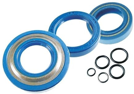 Kit Serie Paraoli O-Ring Revisione Motore Piaggio Vespa Pk XL 50 6653 cono 20