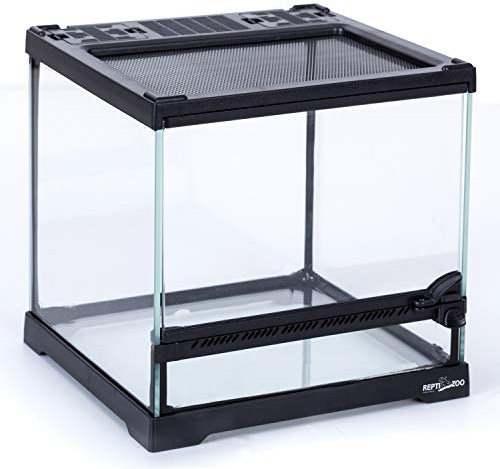 REPTIZOO Mini Reptile Glass Terrarium Tank 8x8x8, Front Opening Door Full View Visually Appealing Mini Reptile or Amphibians Glass Habitat