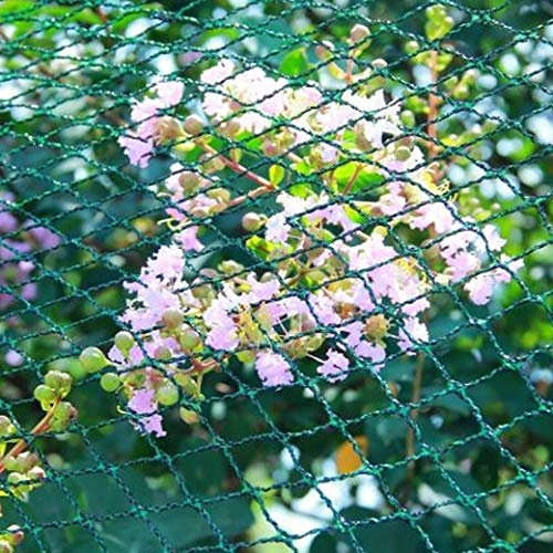 Teichnetz Vogelschutznetz ca. 18g/m² Laubnetz Gartennetz Pflanzenschutznetz Maschenweite 30x30mm (10x25 m)