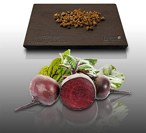 75 graines à semer - Le Grenier d'Abondance - BETTERAVE de Détroit améliorée - Beta vulgaris