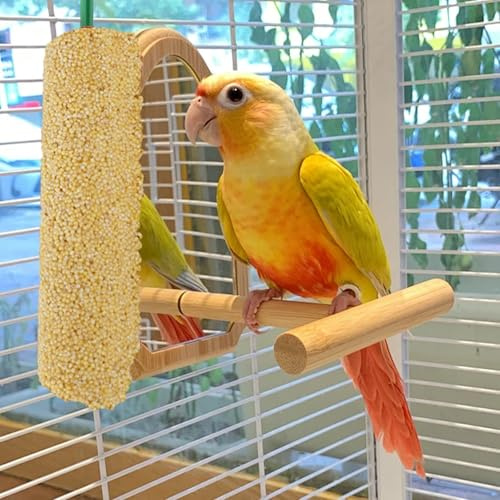 Shotet Sticks - 51 x 0.98 x 0.98 Inch Nutritious Bird Snack Sticks | Natural Seeds and Honey Treat Parakeets, Budgies, Cockatoos, Small Birds | Bird Treat - Snack