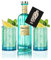 Italicus Bergamotte Likör 0,7L (20% Vol) + 2x Italicus Relief Glas Gläser in Blau - Rosolio di Bergamotto - a refreshing taste of Italy- [Enthält Sulfite] Plus Mixcompany Postkarte
