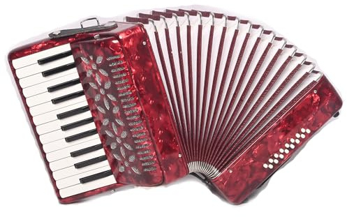 BailingDS Acordeón de 25 teclas y 16 bajos, instrumento de acordeón para principiantes, acordeón profesional, regalos para adultos y estudiantes, 25 teclas de piano, 16 botones de bajo, instrumento de