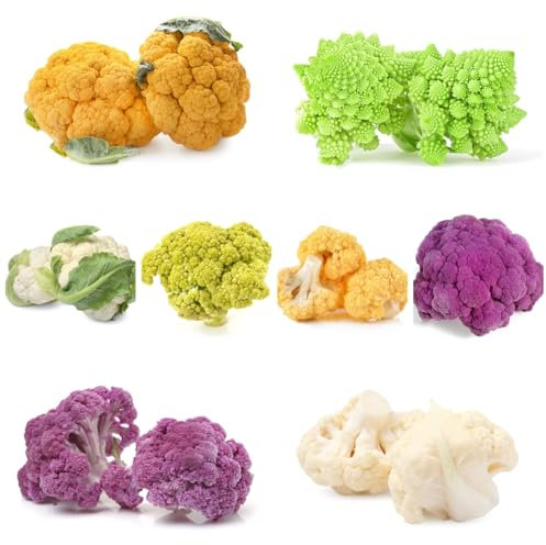 blumenkohl samen - blumenkohlsamen - gemüse bio saatgut, gewächshaus balkon winterblumenkohl winterharte kübelpflanzen, kletterpflanzen gemüsesamen winterhart, saatgut alte sorten 150pcs