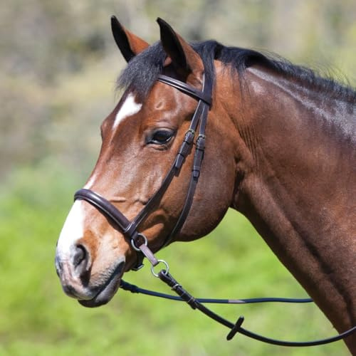 D&L SADDLERY Leather Bridle English Headstall Reins Cowhide Genuine Horse Crossover Crossunder Raised Fancy Stitched Laced All Purpose Jumping Dressage Rubber Crystal Padded Adjustable Browband Full