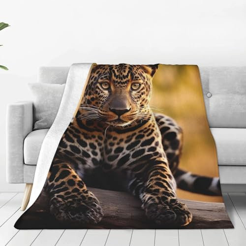 Decke, Afrika, Natur, Leopardenmuster, ultraweich, mikrowarm, für Couch, leichte Bettdecken für Sofa, Stuhl, Schlafzimmer, Wohnzimmer 150 X 125 cm