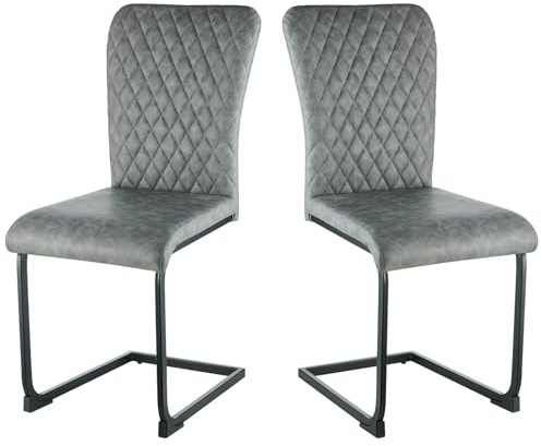 AINPECCA Freischwinger Schwingstuhl Esszimmerstühle Hohe Rückenlehne, Metallgestell, Küchenstuhl, Wohnzimmerstuhl, Bürostuhl (2, PU Grau)