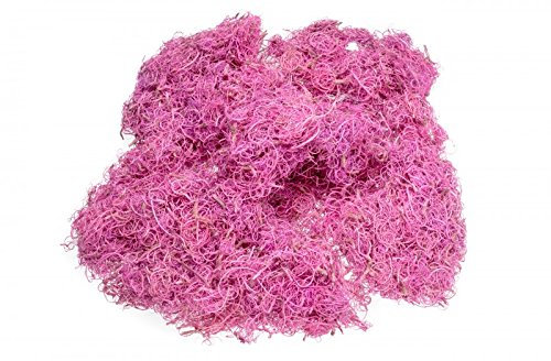 NaDeco Curly Moos in Pink, 500g Curlymoos Tillandsia Moos Deko Moos Bastelmoos Dekomoos Bastel Moos