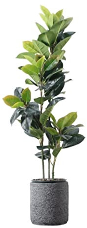 REEKOS Künstliche Pflanze Kunstbaum Künstlicher Baum Künstliche Pflanze Simulation Gummibaum Gefälschte Grünpflanze Büro Wohnzimmer Indoor Outdoor Dekoration Kunstpflanze (Color : A, Size : 150cm)