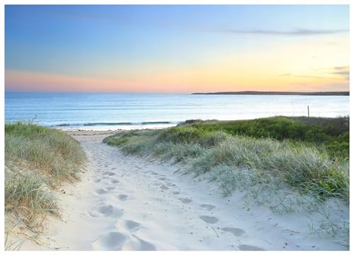 WallArena Non-Woven Fototapet Skogslandskap – 350x250 cm – Fototapet 3D Effekt För Vardagsrum Och Sovrum – Modern Väggtapet I Vlies, Inkl. Lim – Natur, grönt, solstrålar