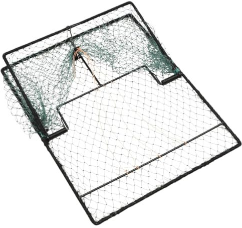 HOMTAKIE Piège à Oiseaux Vert 50x40 cm Acier, Filet pour Attraper Les Oiseaux, piège sans cruauté, piège à Animaux sans cruauté