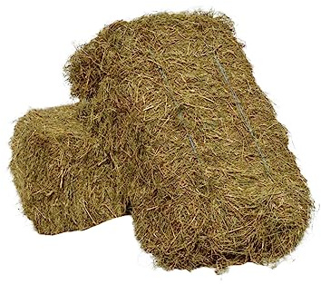 agrar-Store 20kg Heu Wiesenheu Heuballen frisch direkt ab Hof Futter für Meerschweinchen Kaninchen Nager Hamster Hasen Meerschweinchenheu Hasenheu