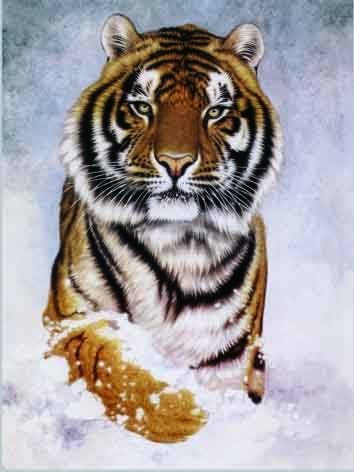 YISUMEI Decke 150x200 cm Kuscheldecken Sanft Flanell Weich Fleecedecke Bettüberwurf Tiger im Schnee