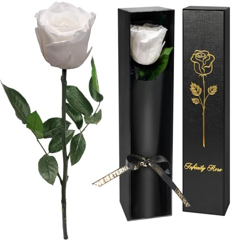Yamonic Rosa Stabilizzata Regalo Donna,Festa della Mamma Idee Regalo,Rosa Eterna con Steli Regali per Donne Compleanno,Regali Festa della Mamma,Vera Rosa San Valentino per Lei