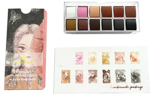 Juego de pintura de acuarela, 12 colores de piel en caja portátil, juego de acuarela de viaje para artistas, aficionados, amantes de la pintura, pintura sólida, profesional, no tóxico, pigmento sólido