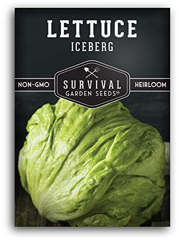 Iceberg Lettuce Seeds for Planting – Crisp Head Lettuce Variety with Crunchy Texture and Sweet Flavor, High Yield Heirloom Non-GMO Seed for Home Gardens – Survival Garden Seeds (1 Pack)