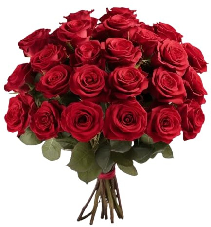 DECOALIVE - Ramo de Rosas - Set 25 Flores Rojas - Bouquet de Flores Naturales - Flores Frescas Online