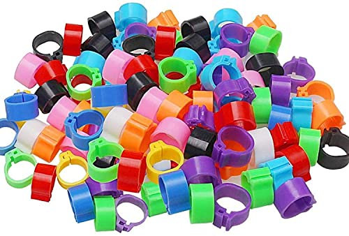 LATRAT 200 Stück Vogelringe Taubenringe Wachtelringe Hühnerringe, Kunststoff Identifizierung Ring Geflügel Band Klemmringe zum Markierung