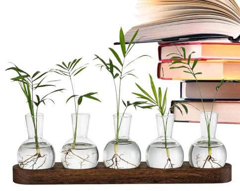 Plant Terrarium Propagation Station - Glass Planter Bulb Vase With Wooden Tray - Hydroponic Vases For Indoor Plants - Modern Bud Vases For Living Room Offices Decor - Terrarium Plants Home Bonsai