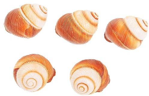 HOMOBABE Gusci Naturali Per Chiocciole Da Forno 4-5 Cm, Gusci Per Chiocciole Da Ristorante Isolamento Termico, Set Da 5 Pezzi Per Cucinare Al Forno, Microonde, Congelatore e Lavastoviglie