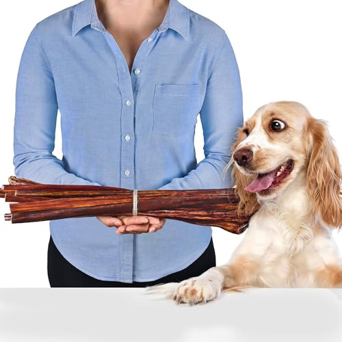 Snack per cani secchi, 50 cm, 500 g, ricco di proteine, prodotto naturale per la cura dei denti, carne secca per cani