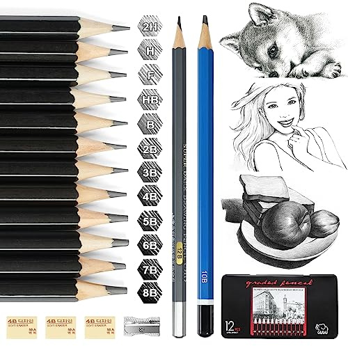 Vicloon 18 Pièces Crayons de Dessin Professionnels Set, Set Comprend Taille-Crayon Gomme, 12B 10B 8B 7B 6B 5B 4B 3B 2B B HB 2H H F Saine Environnementale Non Toxique Adultes Artistes Cadeaux
