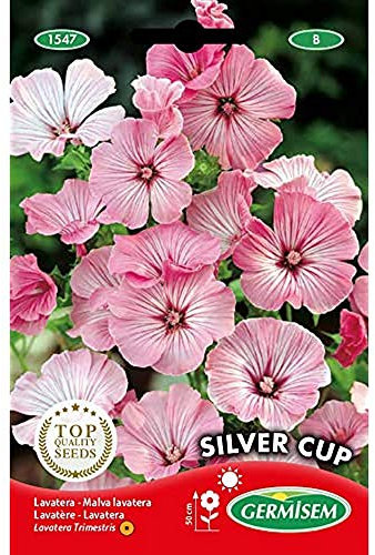 Germisem Silver Cup Semillas de Malva 2 g (EC1547)