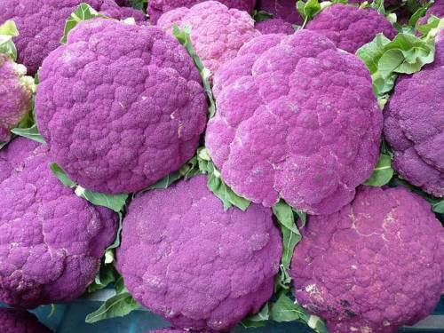 50 Semi di Cavolfiore Viola Siciliana : Grani
