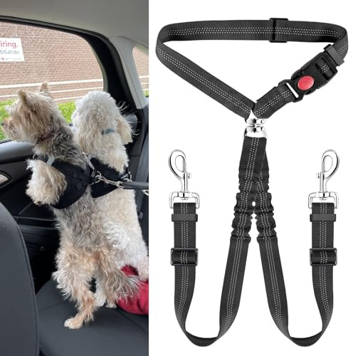 Cintura di Sicurezza Doppia per Cani, Guinzaglio per Cani Regolabile con Ammortizzatore, per Viaggi in Macchina