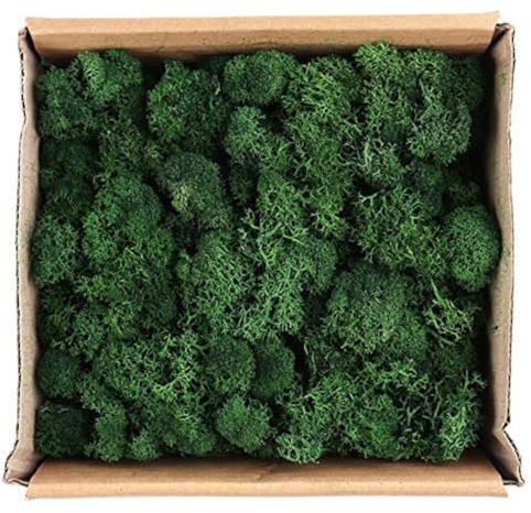 Warmiehomy Fake Moss 130g Dark Green Artificial Moss for Crafts and Plants | Realistic Faux Greenery for Indoor Plant Pots, Terrariums, Model Making, Floristry, Landscaping, Fairy Gardens,Home Decor