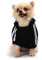QiCheng&LYS Hunde Hoodie,Kleine Hunde Strickpullover Wintermantel Für Kleine Hunde (Schwarz, S)