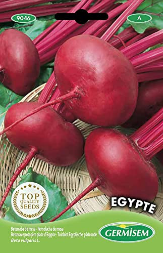 Germisem Egypte Semillas de Remolacha 5 g, EC9046