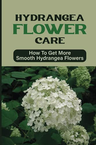 Hydrangea Flower Care: How To Get More Smooth Hydrangea Flowers: How To Grow Hydrangea At Home