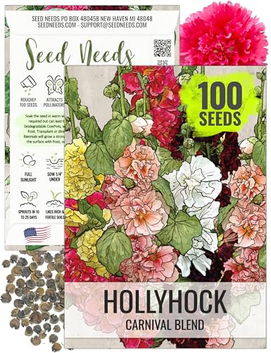 Seed Needs, Mixed Carnival Hollyhock Seeds - Heirloom Seeds for Planting Alcea rosea - Biennial Wildflower that Attracts Pollinators to the Garden (1 Pack)