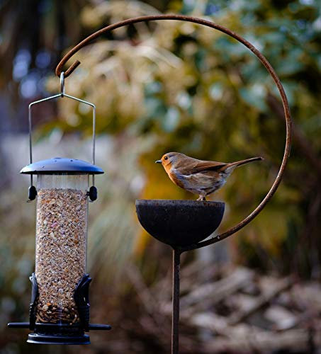 GAP GARDEN PRODUCTS - Solid Metal wildbird Feeder Station, Unique Stylish Bowl And Hook Design (freya) Ideal For Feeding Garden Birds (New Unique double fixing spikes at the base for Max. stability)