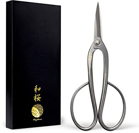 Wazakura Ciseaux à Bonsaï Ashinaga en Acier Yasugi Inoxydable 200mm Fabriqué au Japon, Sécateur d'Élagage et Outil de Jardinage Artisanale Japonais
