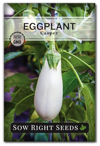 Sow Right Seeds - Casper Eggplant Seeds for Planting - Unique White Heirloom Compact Variety - Non-GMO Packet with Instructions to Plant an Outdoor Home Vegetable Garden - Sweet Mild Flavor (1)