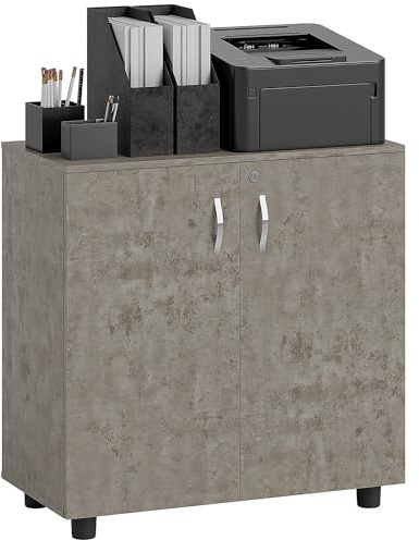 Vinsetto Lockable Office Storage Cabinet, 2 Door Storage Cupboard with Key Security, 2-Tier Shelf, Multi-Purpose Sideboard for Home office, Study, 80 x 40 x 80 cm, Grey