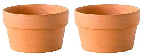 YARNOW Lot De 2 Pots De Fleurs en Terre Cuite avec Trou De Drainage pour Cactus Et Bonsais Jardin Intérieur Et Extérieur 4.92X4.92X2.68 Pouces
