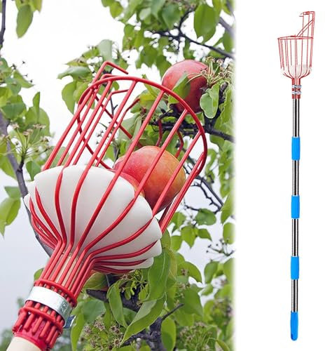 recoge fruta recogedor de frutas Palo recolector de frutas con cesta telescópica, 2 3 4 m de longitud, palo recolector de frutas para manzanas, peras, albaricoques, nectarinas, pomelos y caquis(3.6m/1