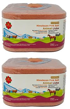 2x Compressed Himalayan Animal Horse Lick 2.5 KG | Natural Pink Salt, N with strong hanging Rope Suitable for all Animals 2.5 kg Salt l Product from Pakistan