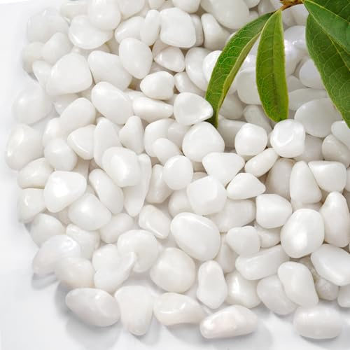 RUOJAS 1 kg de galets blancs polis naturels, pierres décoratives 1/2