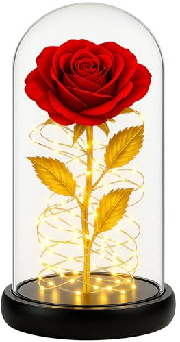 Retoo Ewige Rose im Glas mit LED Licht, Gefriergetrocknete Rosen als Geschenk für Frauen, Rote Konserviert Blume Schöne und das Biest Figur, Infinity Blume mit Glitzer, Geschenkbox für Geburtstag Vale