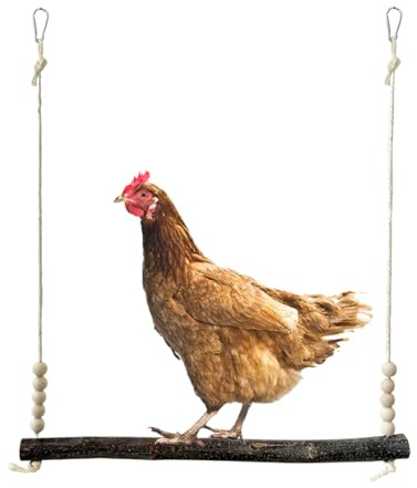 Columpio de pollos, de madera para aves,Juguetes de enriquecimiento de gallinas | Destinado a los amantes de los animales Refugios de jardín Granja Huerto Jardín Habitat Montaña