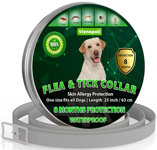 Collier réglable Anti-puces et tiques pour Chiens - Imperméable - Protection Efficacité 8 Mois - Huile Essentielle Naturelle