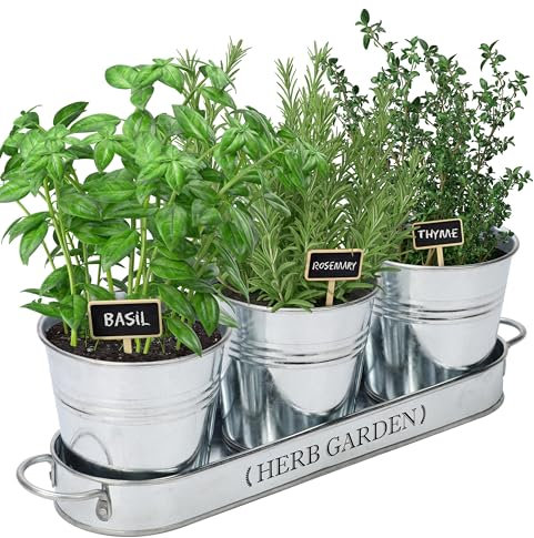 PERFNIQUE Giardino di erbe aromatiche da interno, fioriera da giardino per interni ed esterni, vasi per piante da fattoria, kit da giardino per davanzale con vassoio, vasi da finestra per piante da